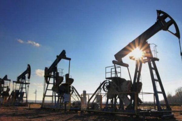 OPEP vuelve a recortar pronóstico para la demanda de petróleo en 2021 por alza de casos de coronavirus