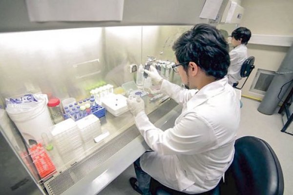 UC inicia plan de reapertura de laboratorios de investigación con aforo limitado