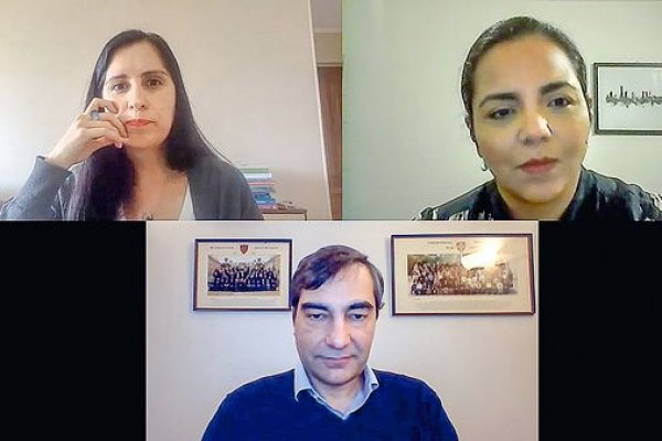 Cuatro ejes de la discusión constitucional: Igualdad (iii)