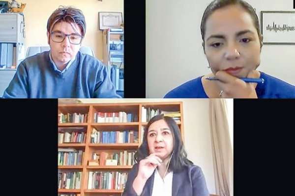 Cuatro ejes de la discusión constitucional: medioambiente (iv)