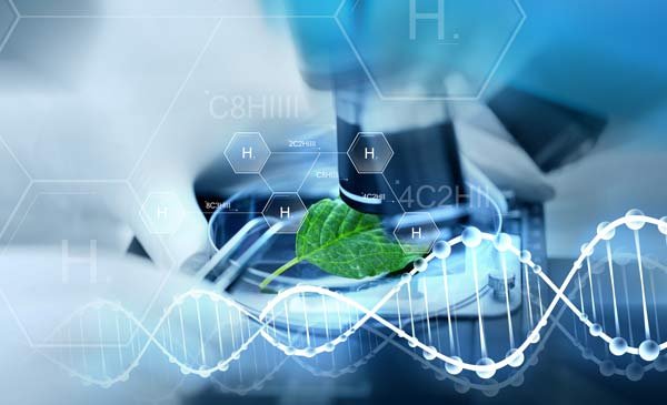 Asociación Chilena de Hidrógeno pide a Energía evaluar medidas para evitar la doble tributación en esta área