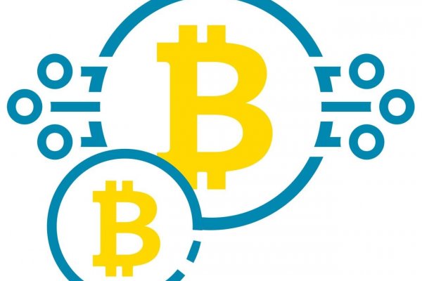 Criptomonedas para principiantes