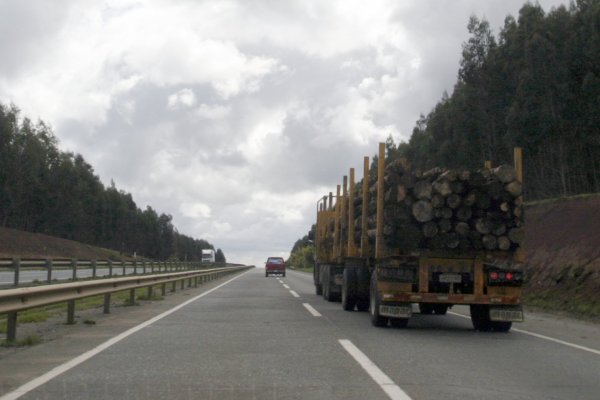 Sociedad Nacional Forestal pide a los poderes del Estado implementar medidas de protección ante atentados