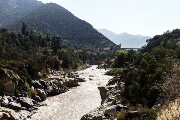 Cambio de uso de suelo en cuencas de los ríos Maipo y Maule genera pérdida de bosque nativo