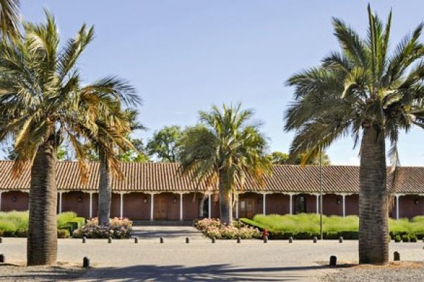 Ventas de Viña Santa Rita crecen 8% a septiembre alcanzando $ 123.523 millones