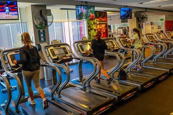 De vuelta al gimnasio.