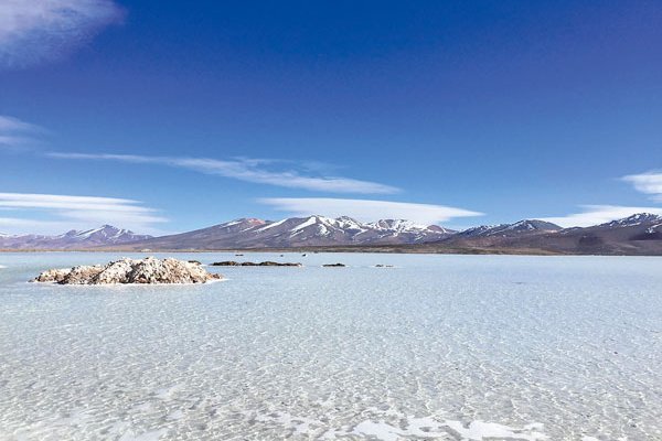 Codelco ad portas de dar su primer paso en el litio: autoridad recomienda aprobar exploración en Maricunga
