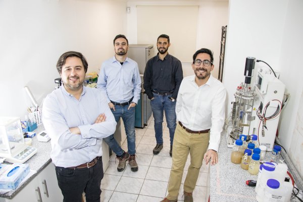 Foodtech crea fórmula para reducir la sal y se expande a Latinoamérica y Europa