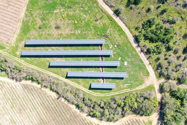 Tres viñas cuentan sus planes para enfrentar el cambio climático