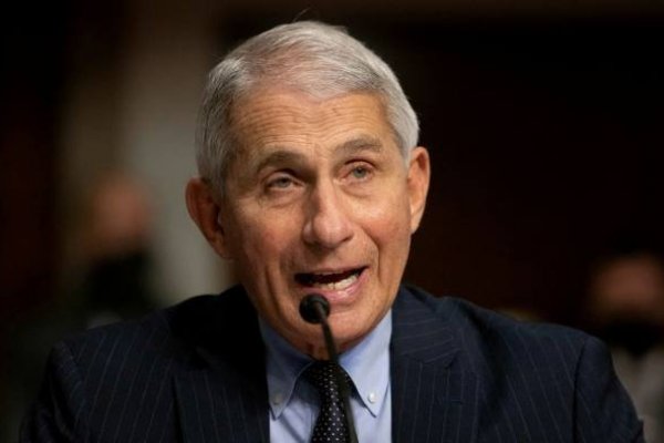 Financial Times: Fauci predice datos positivos de una segunda vacuna contra el Covid-19 pronto