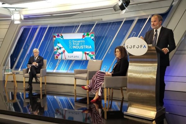 <p>Larraín Matte y su dura crítica al Congreso: "Se suman con entusiasmo a las elusiones constitucionales para desfondar los fondos de pensiones"</p>