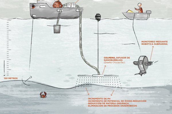 Emprendedores usan burbujas para rescatar el suelo marino