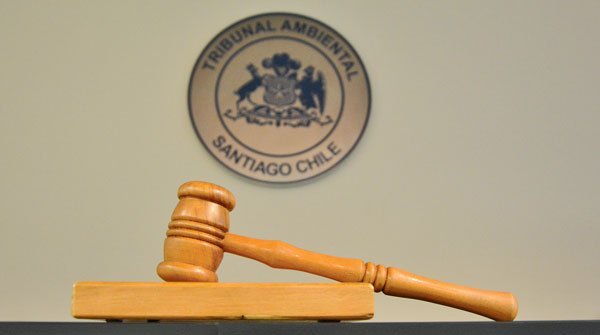 Industria legal mira con atención caso donde el Tribunal Ambiental se declara competente para revisar plan de manejo forestal