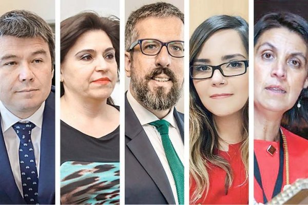 El grupo de ex autoridades del gobierno de Bachelet que busca posicionar los temas ambientales en la nueva Constitución