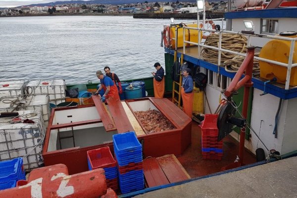 La ruta de las centollas chilenas que no pudieron entrar a China
