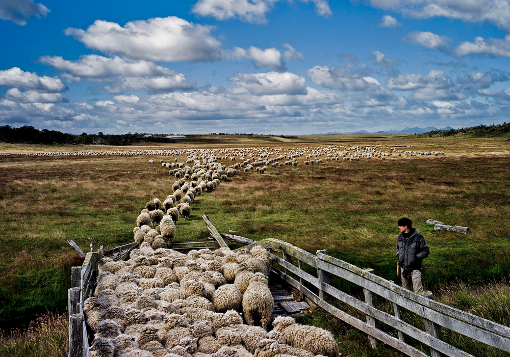 <p>imagen de la exposición Patagonia, de Tomás Munita.</p>