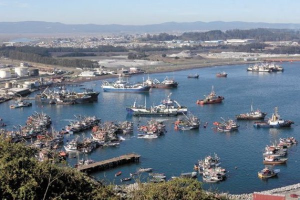 Naves chinas señaladas por pesca ilegal navegan por mar patrimonial de Chile