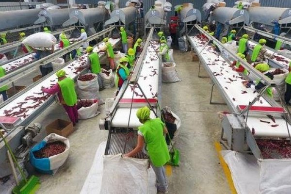 Gremios agrarios en Perú advierten que nueva ley del sector dejaría sin empleo a 200.000 personas