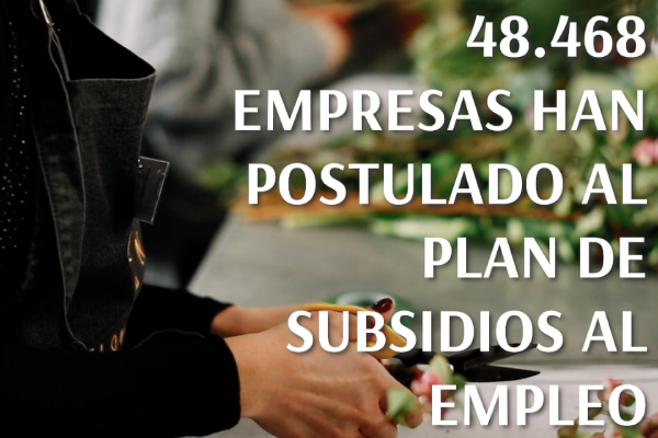 <p>DATA DF | Balance de subsidio al empleo, empresas acogidas superan las 48 mil</p>