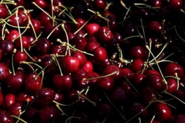 Repuntan ventas de cerezas mientras Chile refuerza ofensiva para regularizar la situación