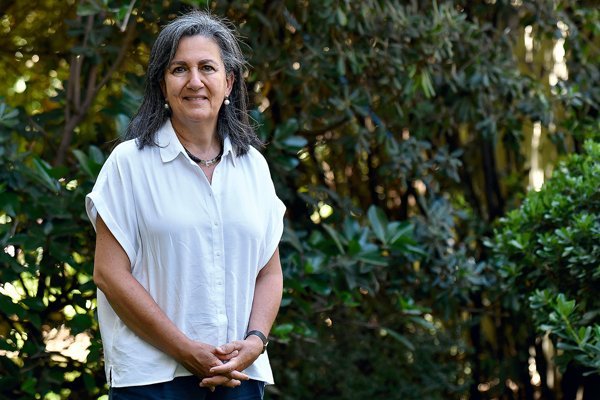 Lanzan la primera certificación de calidad y seguridad para plataformas de telemedicina