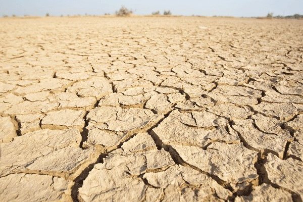 Nogales: la polémica tras los 100 litros de agua por habitante