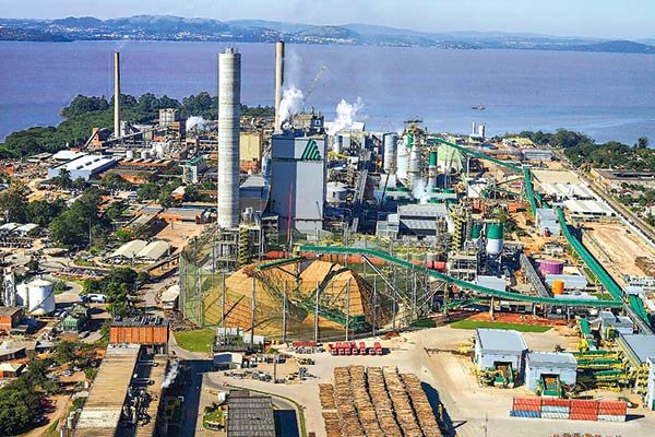 CMPC se anota producción récord de celulosa en Brasil en 2020