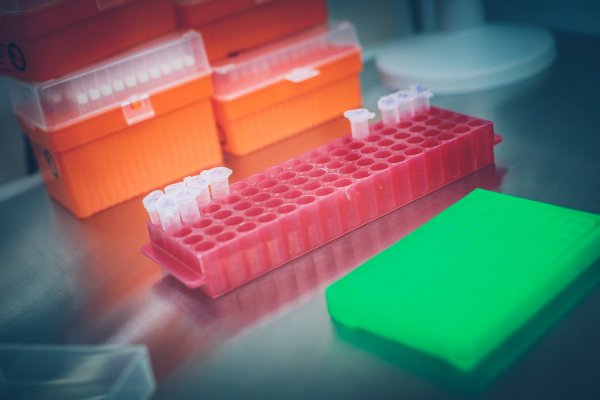 Laboratorio chileno crea solución para alargar la vida de la carne
