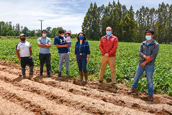Gobierno activa proceso para medir productividad de tierras entregadas a pueblos indígenas