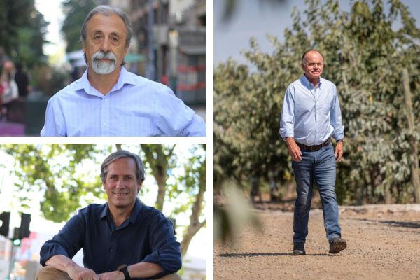 Candidatos a constituyente en cinco claves | Antonio Walker, Luis Mesina y Clemente Pérez (Cap. V)