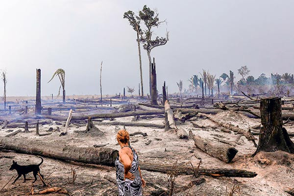 Informe de la ONU alerta de triple crisis ambiental: cambio climático, pérdida de biodiversidad y contaminación