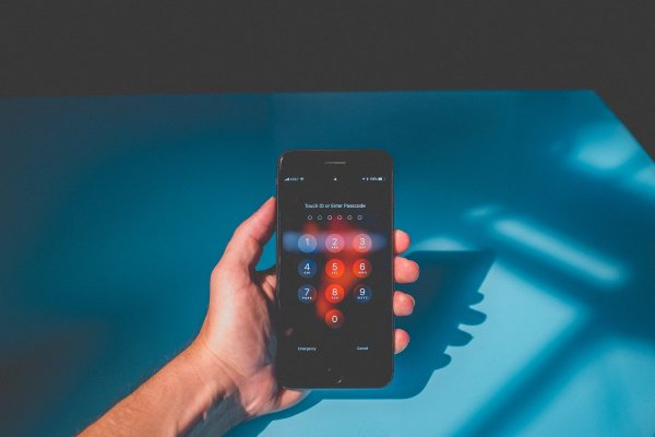 Cómo elegir la mejor alternativa para gestionar tus contraseñas digitales