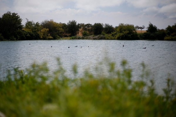 Empresas certificadas podrán rebajar de impuestos el gasto en manejo eficiente del agua