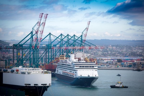 Corporación de Puertos del Conosur estima que no llegarían cruceros a Chile este año