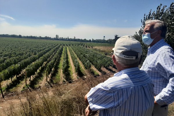 Gobierno busca soluciones innovadoras para enfrentar el cambio climático en la región de O'Higgins