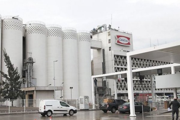 Sernac exigirá compensaciones a Carozzi tras recibir reclamos por lotes de productos de “Master Cat Gatitos”