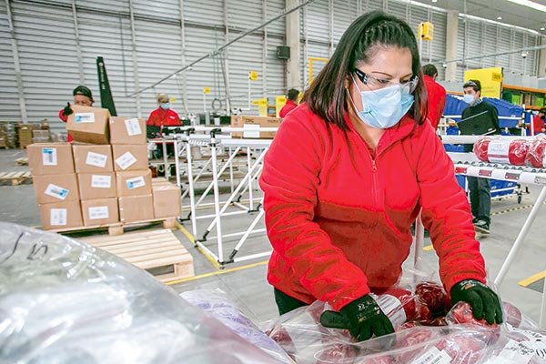 <p>La nueva modernización tecnológica que autorizó la Dirección del Trabajo</p>