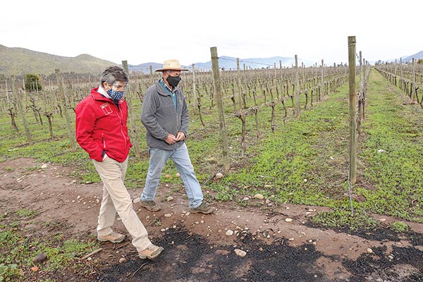Los planes de Indap para asegurar el riego en la pequeña agricultura