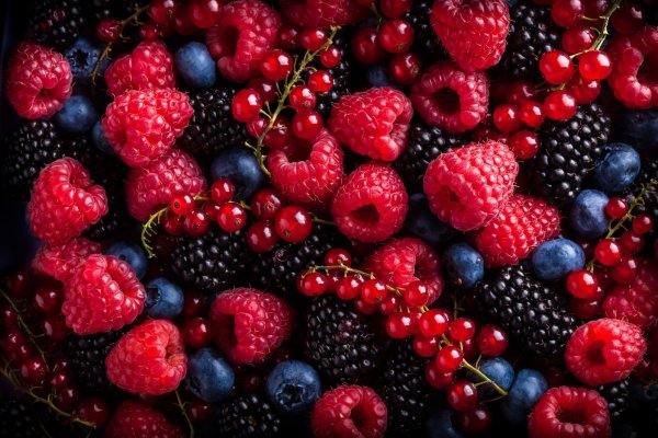 Hortifrut logra alza en sus utilidades de 2020 debido a mejoras operacionales