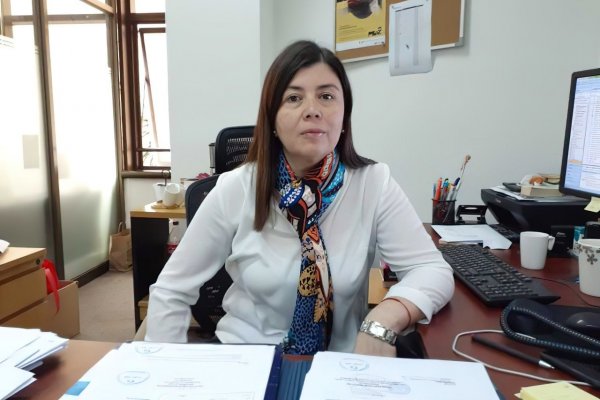 Bloom de algas provoca preocupante mortandad en salmones chilenos