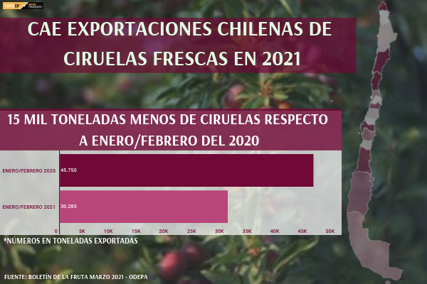 <p>DATA DF | ¿Cómo han caído las exportaciones de ciruelas de Chile?</p>