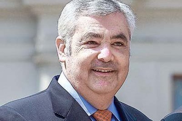 <p>Ricardo Lessmann, presidente de la compañía. Foto: Agencia Uno </p>