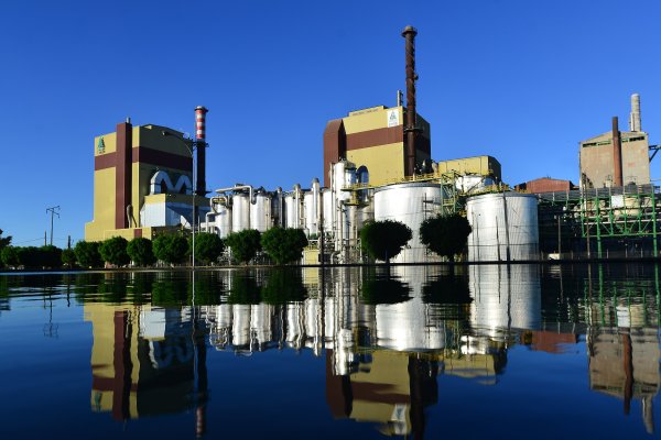 Ley de Eficiencia Energética: CMPC espera cerrar el año con 23 plantas certificadas en consumo eficiente de energía