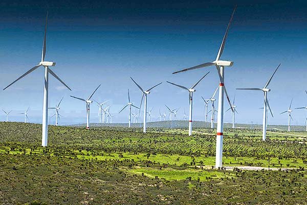 <p>AGF chilenas adoptan norma de la UE para evitar malas prácticas de marketing “verde”</p>