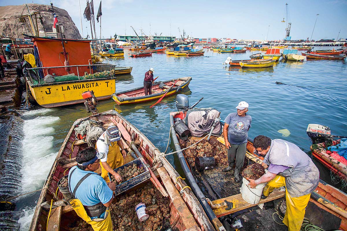 <p>Pesca: la insistencia del gobierno tras el fallo de la Suprema</p>