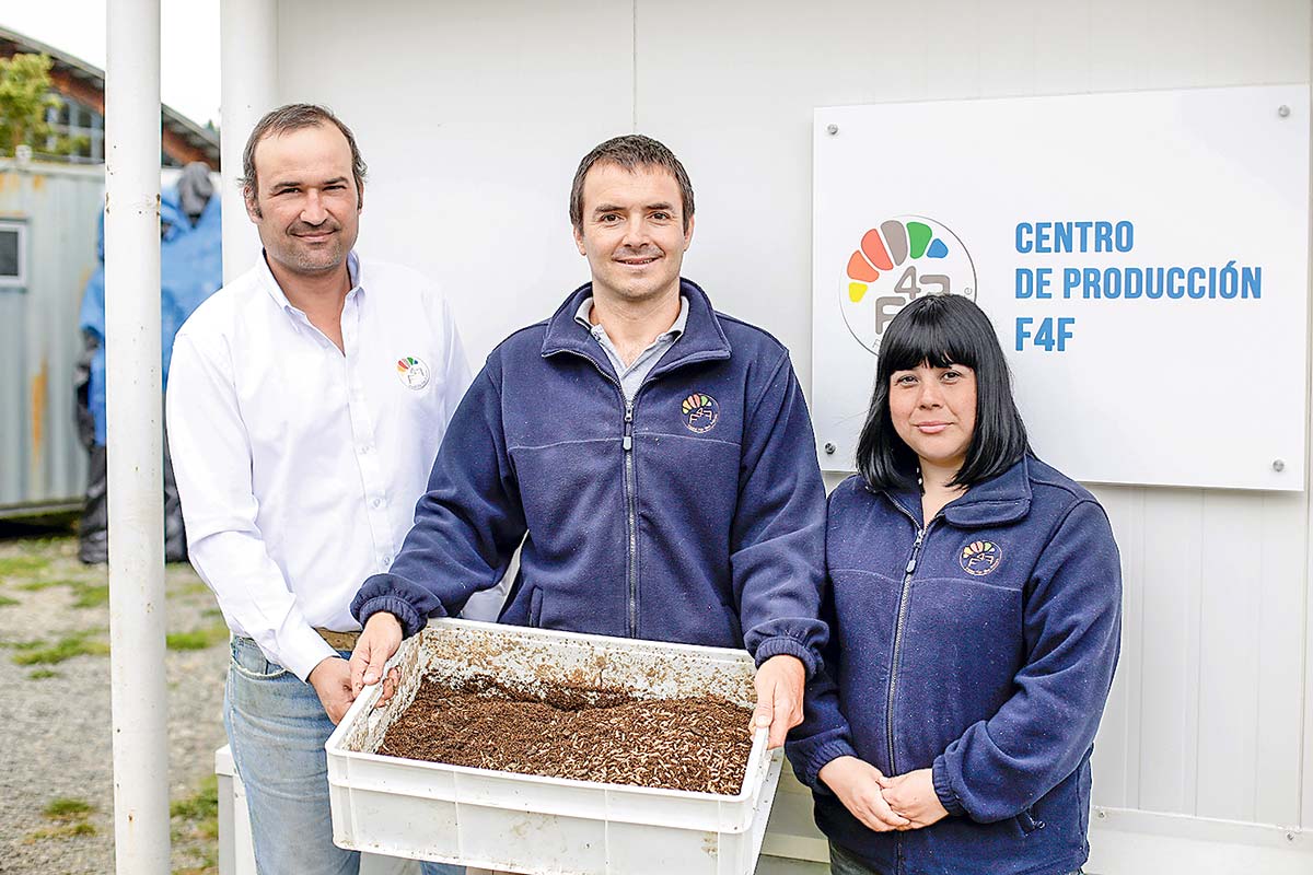 <p>La apuesta por proteína de insectos que une a Ibáñez, Luksic y Angelini</p>