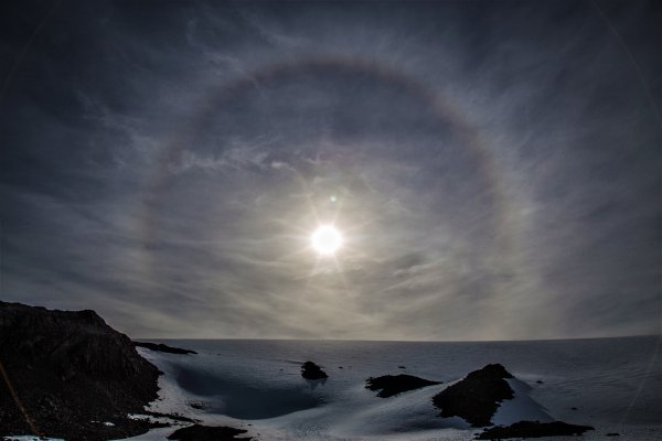 Investigadores alertan que olas de calor en la antártica podrían dañar gravemente el ecosistema marino