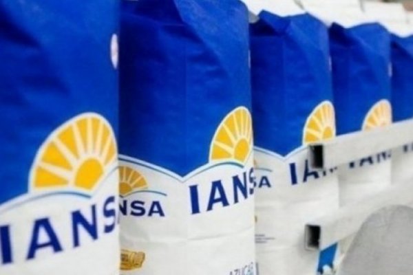 Empresas Iansa termina el primer trimestre con alza de sus ingresos y mejora en el flujo operacional