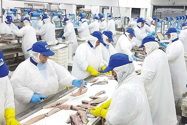 Cooperativa de trabajadores de Friosur repartió su primer dividendo a 250 socios