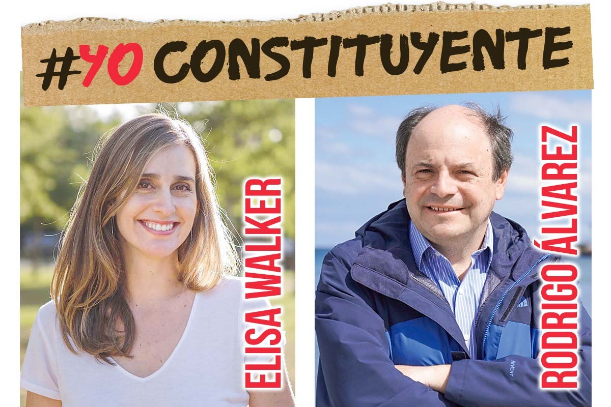<p>#YoConstituyente Elisa Walker: “Agregaría una norma sobre el derecho a la vivienda"</p>